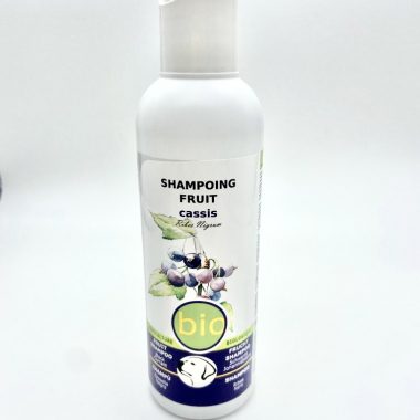 SHAMPOING FRUIT CASSIS